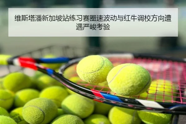 维斯塔潘新加坡站练习赛圈速波动与红牛调校方向遭遇严峻考验
